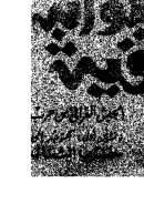 حراس البوابة الشرقية