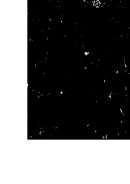 حياة الفكر في العالم الجديد