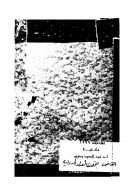 قصة الفلسفة الحديثة