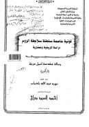 قونية عاصمة سلطنة سلاجقة الروم – دراسة تاريخية وحضارية ( رسالة دكتوراة )
