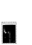 رسالة من المدينة إلى بنت الخليج – أبو طلحة محمد يونس بن عبد الستار