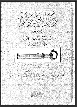 نور العيون في تلخيص سيرة الأمين المأمون