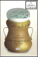 نور السجية في حل ألفاظ الآجرومية