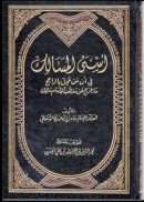 أسنى المسالك في أن من عمل بالراجح ما خرج عن مذهب الإمام مالك