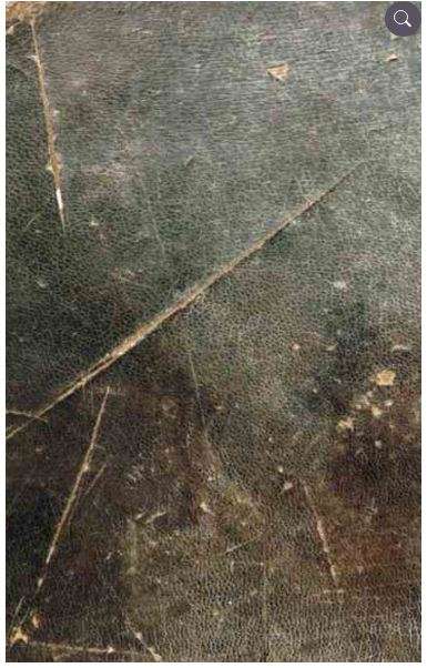 إختلاف الحديث