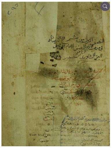 إخلاص الناوي في إرشاد الغاوي إلى مسالك الحاوي