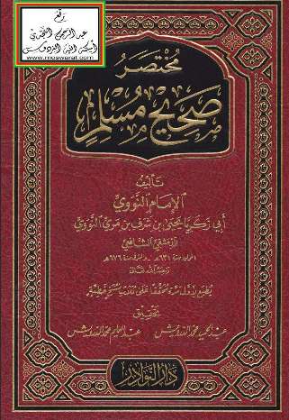 مختصر صحيح مسلم للنووي