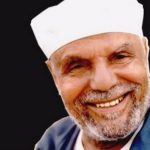 Mohamed Metwally Al Shaarawi