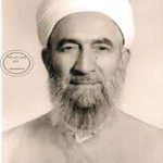 العلامة لطفي الفيومي